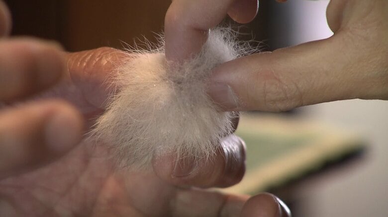 芯を起点に毛が生えているよう