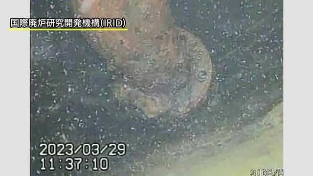 2023年3月の1号機内部調査　映像提供：IRID