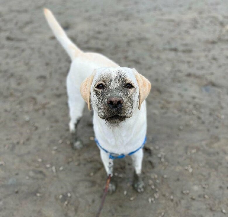 顔が泥まみれ…