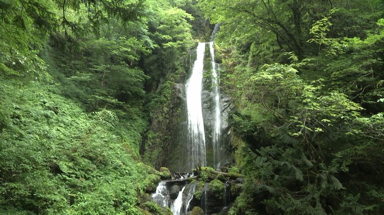 遊歩道を30分ほど歩いた先にある『回顧の滝』