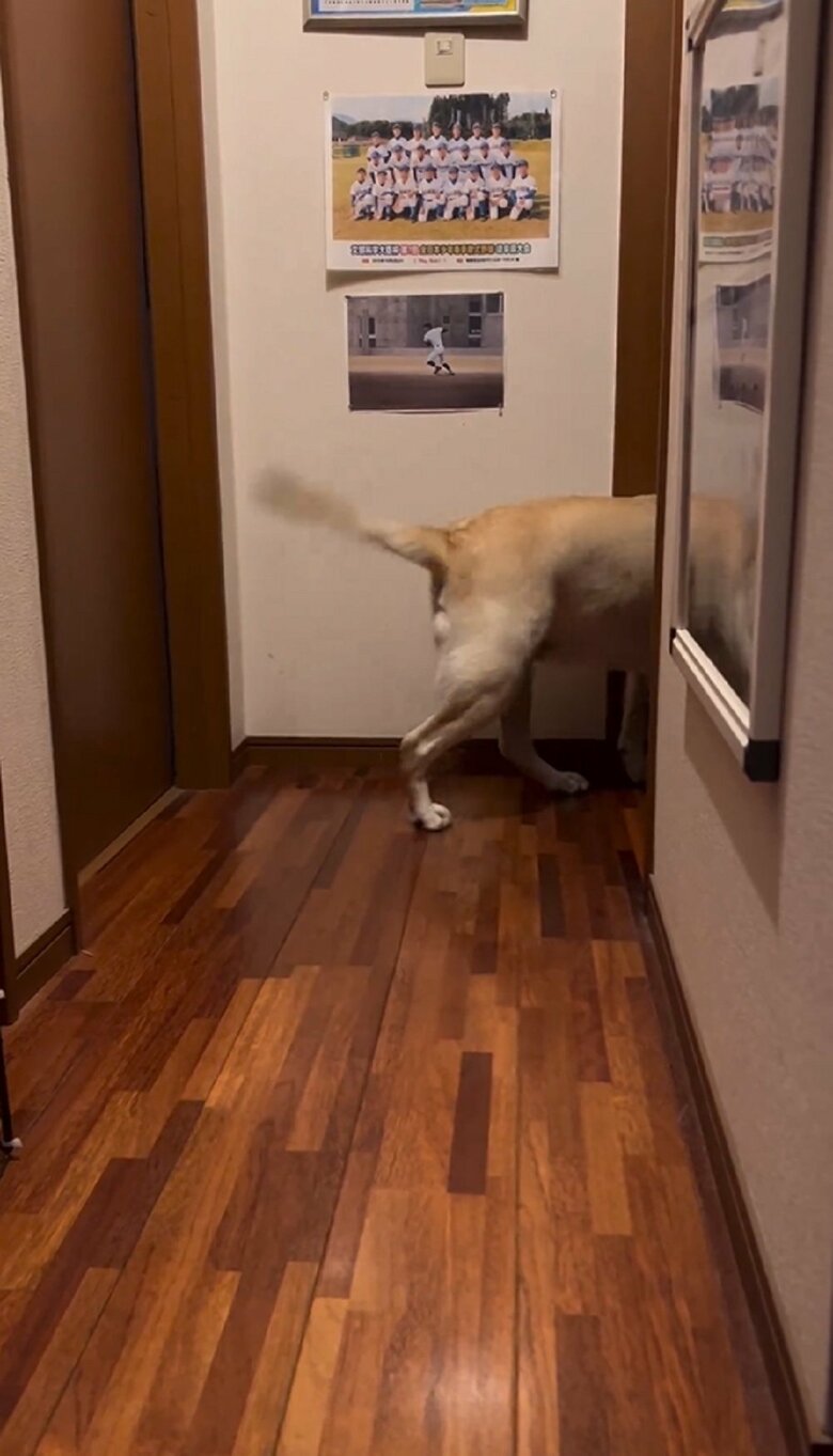 扉が開くとすぐさまへの中へ入っていった