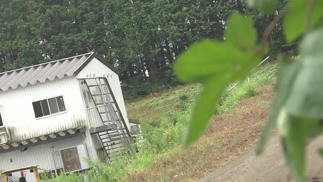 牧場の敷地からは数十頭の子牛とみられる骨300キロが
