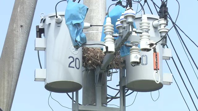 撤去しても同じ場所に作られてしまうことも