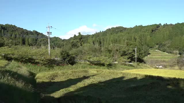 緑に囲まれ自然豊かな樗木（おてき）集落（鹿児島県日置市日吉町）