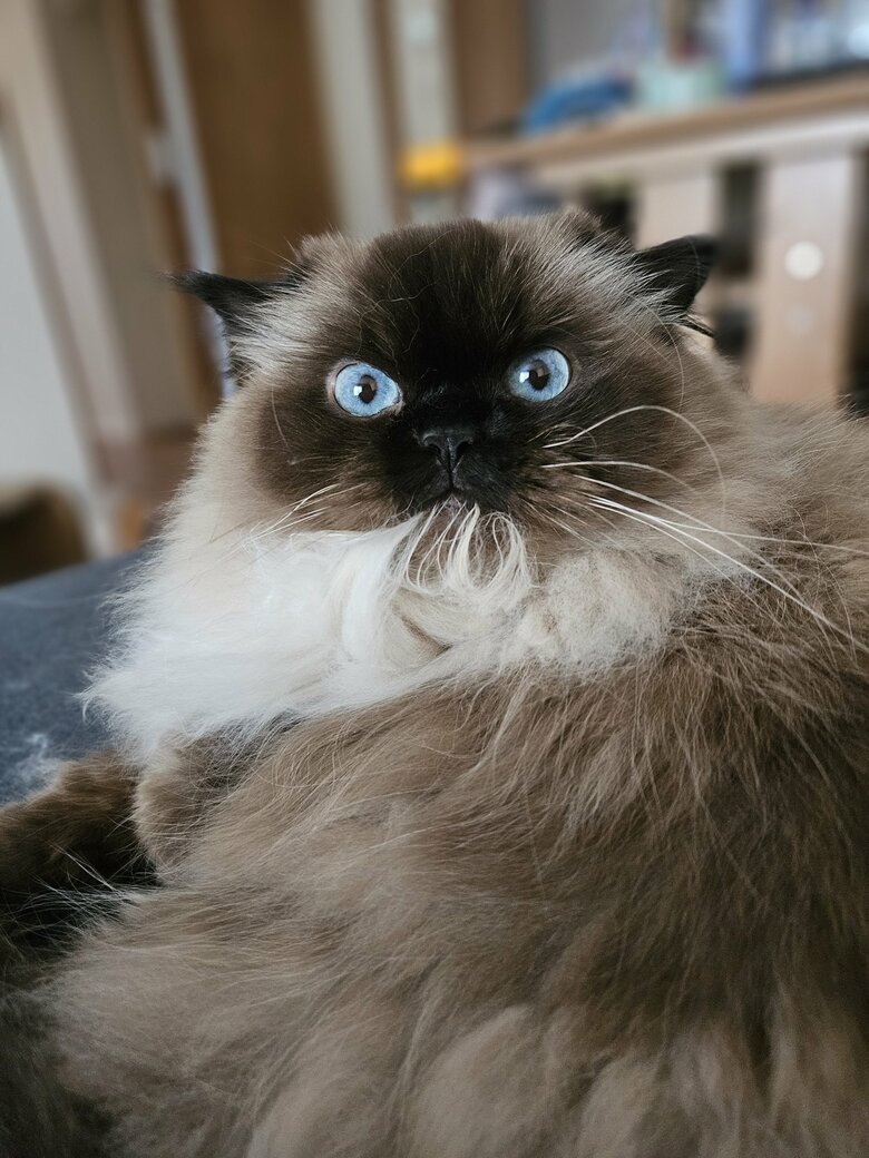 提供：ねぎまるさん