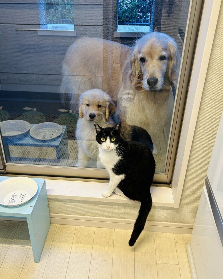 提供：efrinmanさん