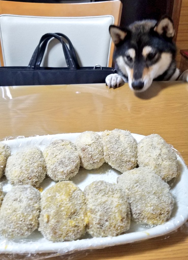 提供：掃除魔さん