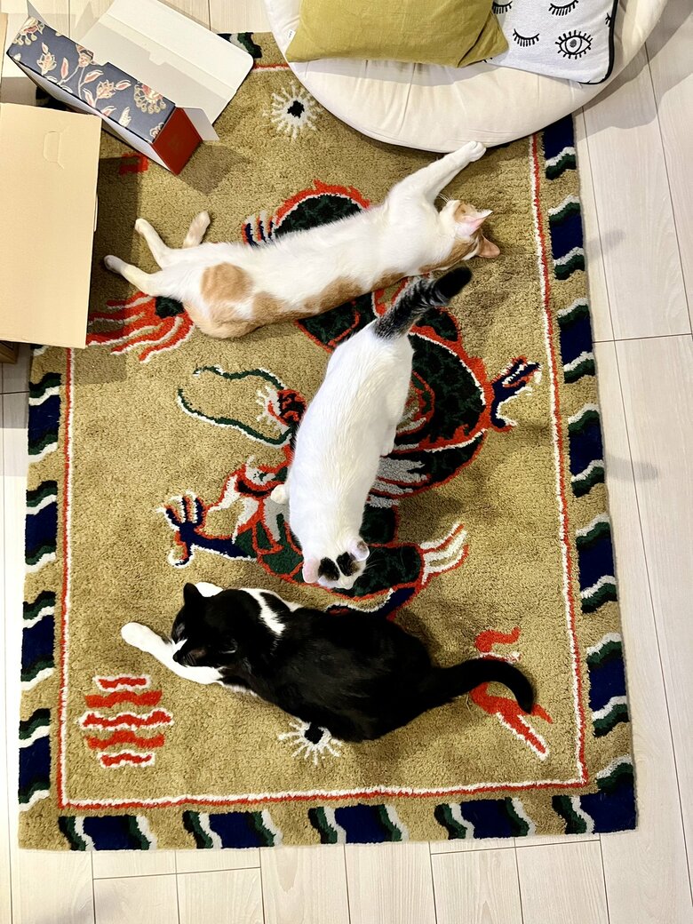 上：たねおくん　中央：シノさん　下：トンちゃん（提供：卵山玉子先生）