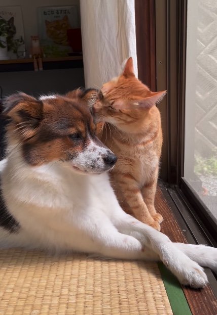 提供：naomiさん