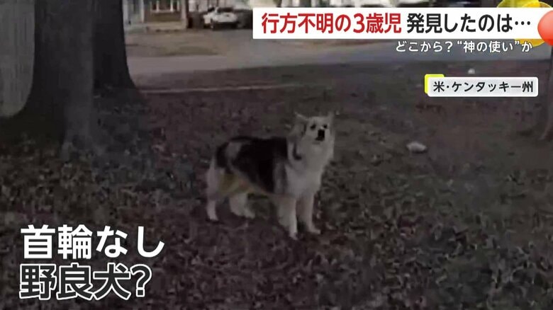 （Louisville Metro Police Department）