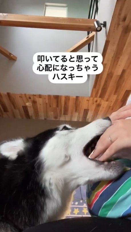 提供：akariさん