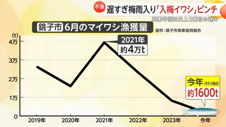 6月のマイワシ漁獲量は2021年の1割以下だという