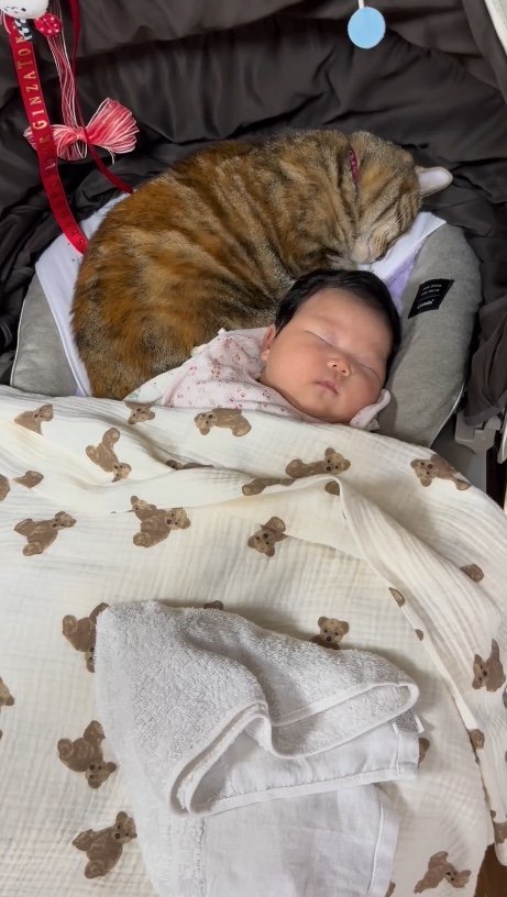 提供：エルモとみみりんさん