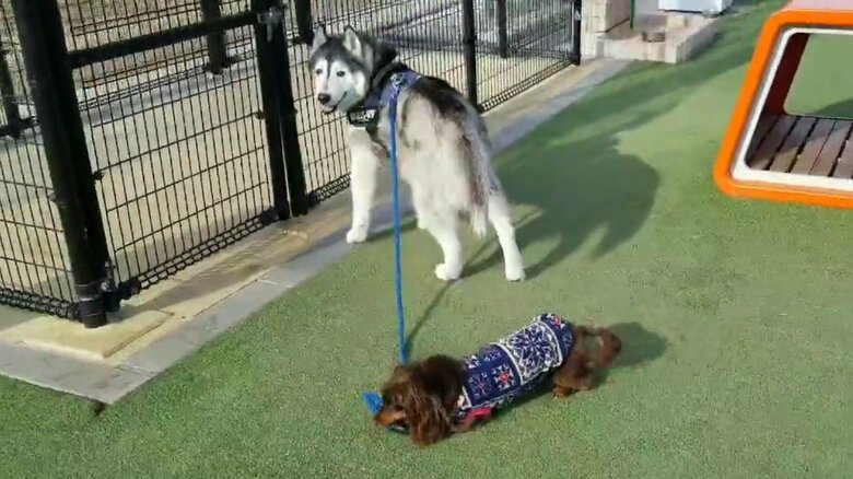 帰宅阻止された時の様子