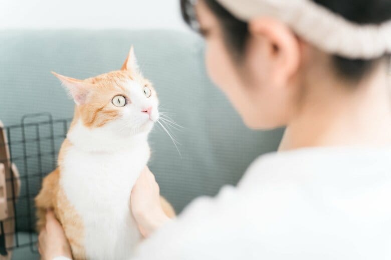 非常時に預ける先を確保しておくことも大切な備えの一つ（画像はイメージ）