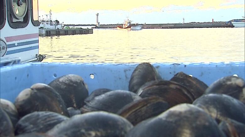 ホッキが名産の苫小牧港は北海道と世界を結ぶ国際拠点港