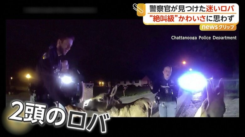 発見されたロバに笑顔で対応する警察官たち