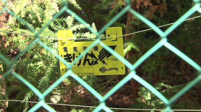 札幌市内の8施設で電気柵の設置が進められている