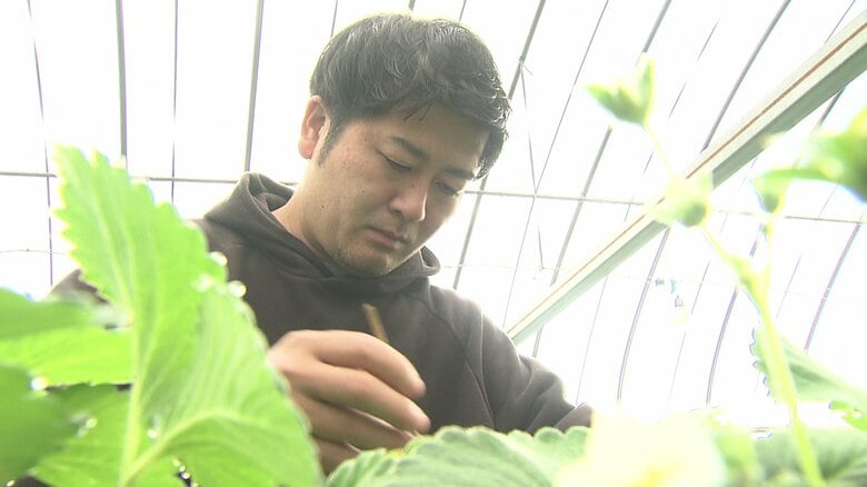 「コストと生育管理のバランスが難しい」と話す山川さん