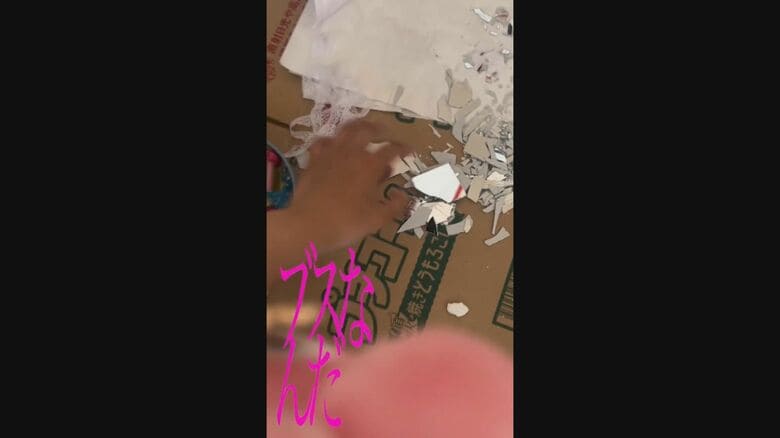 ヒナちゃんが制作した動画