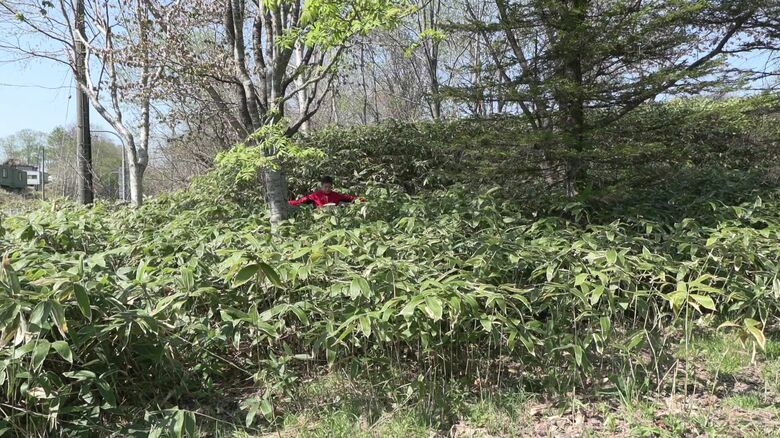 どのような服装が目立つか検証