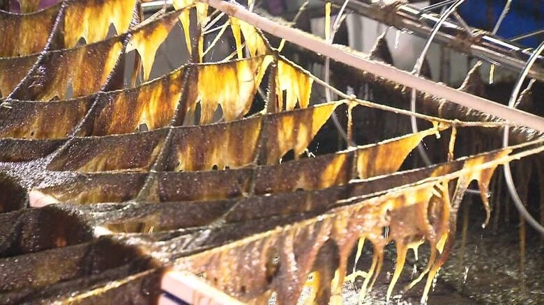 色落ちしたノリ