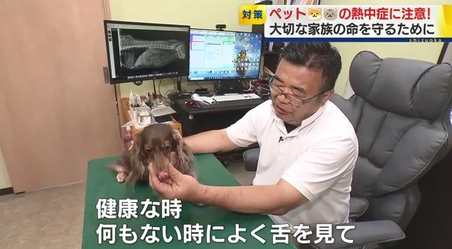 鈴木院長（静岡市・ふくろう動物病院）