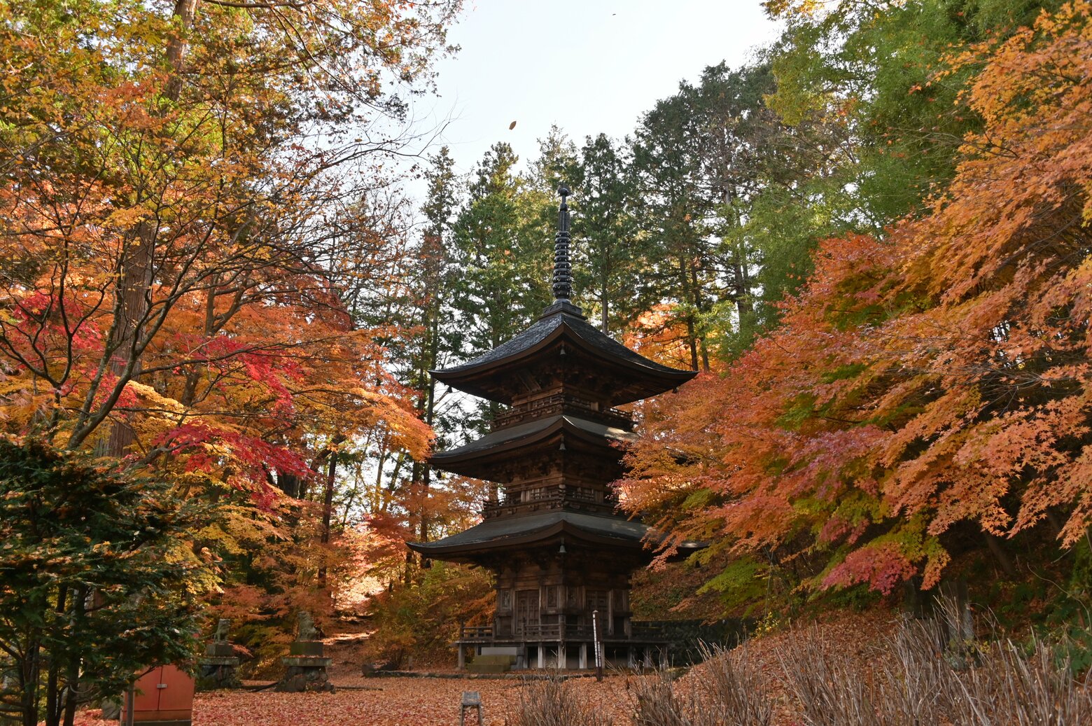 観光スポット貞祥寺は西欧への坐禅普及に影響を与えた寺として知られる