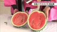 県内一の産地・日田市でハウススイカ初出荷　寒暖差を生かした栽培で甘くて良質な仕上がりに　大分