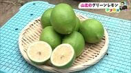 【高知】山北の《グリーンレモン》香りが強く爽やかな旬の味　サラダやうどんにぴったり
