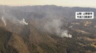 山梨の山火事は住宅から50m地点まで火が迫る…群馬・神奈川の山火事も鎮火のめど立たず　政府が情報連絡室設置