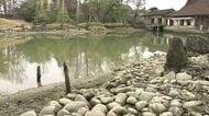 春の観光シーズンに向けて　国の名勝・養浩館庭園で池の清掃作業　池底から建物礎石など当時を偲ばせる遺構も出現　福井市　