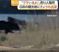 “クマ”目撃情報で1000人規模イベント中止も“見間違い”？現場に黒い服着て野草採取する男性　秋田では防波堤近くに“熊出没”