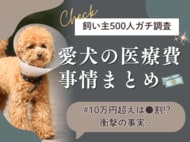 【飼い主500人に調査】愛犬の医療費10万円超えは、まさかの●割…！高額化で加速する「備え」の新常識