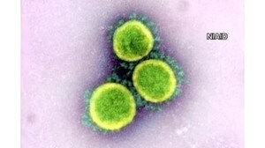 北海道コロナ陽性確認3人…1人は