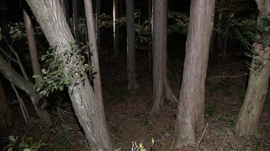 「息子の首を絞めて殺した」　富士山麓の青木ヶ原樹海　89歳の女を逮捕　息子は重度の知…