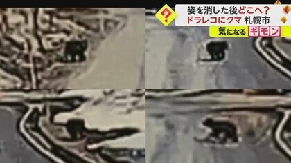 【前を横切る】ドラレコに1m弱の黒い影…若いクマか　10日前“15ｍ”至近距離で遭遇した夫婦も　札幌市で目撃情報相次ぐ