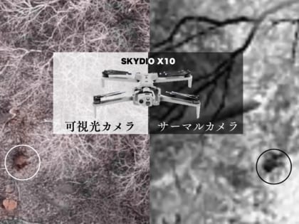 アフリカ豚熱に備え、ドローンで「空からのイノシシの死骸捜索」を実証