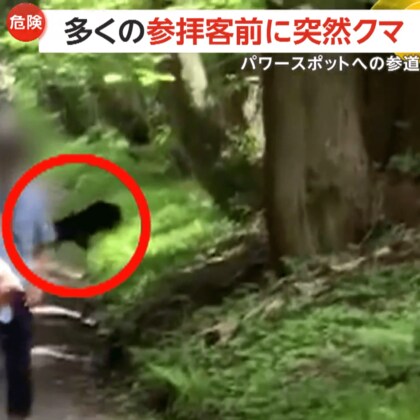 「怖い怖い！」2頭のクマが全国屈指の“パワースポット”戸隠神社に…参拝客前に突然出没で現場騒然　長野市