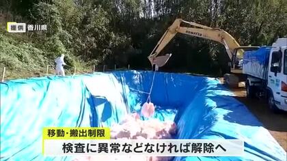 高病原性「鳥インフルエンザ」今季初確認の三豊市の養鶏場などでニワトリ約７．１万羽の殺処分完了【香川】