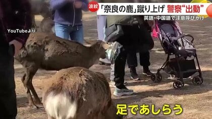 【波紋】「奈良公園の鹿」への相次ぐ暴力に“マルチリンガルDJポリス”登場　子連れ男性が鹿の顔面蹴る新たな問題動画も…