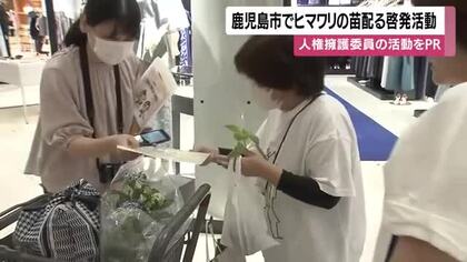 鹿児島市でヒマワリの苗配る啓発活動　人権擁護委員の活動をPR