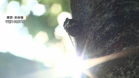 都内の熱中症搬送者は男女176人　2日連続で最多更新　90代男性が重篤　埼玉は178人うち12人重症　栃木では85歳男性死亡　熱中症か