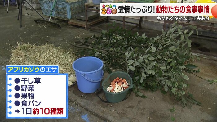 1日にだいたい250キロ