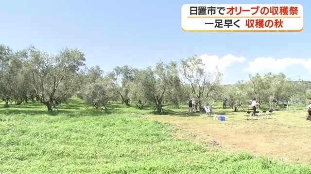 日置オリーブファーム（日置市東市来町）