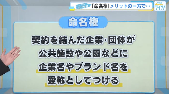 命名権とは