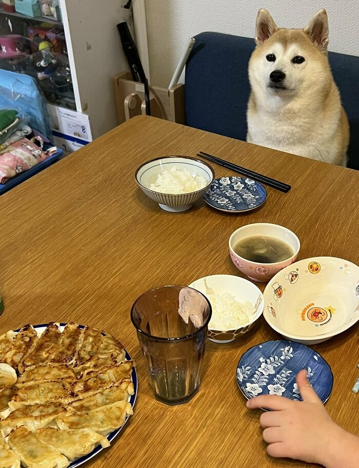 「自分もここで食べます」といった様子