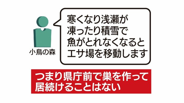凍結や積雪でエサがとれなくなれば移動するというが…