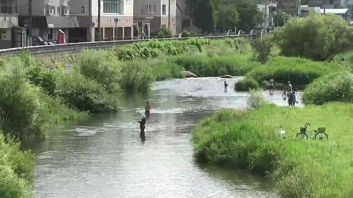 木村紅美さんが好きだという中津川沿いの風景