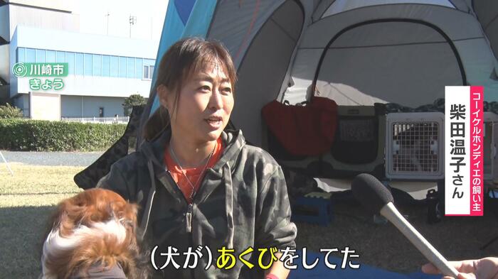 コーイケルホンディエの飼い主、柴田さんが注目したしぐさは「あくび」
